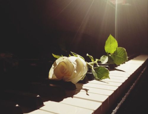 Concerto degli Allievi Amadeus